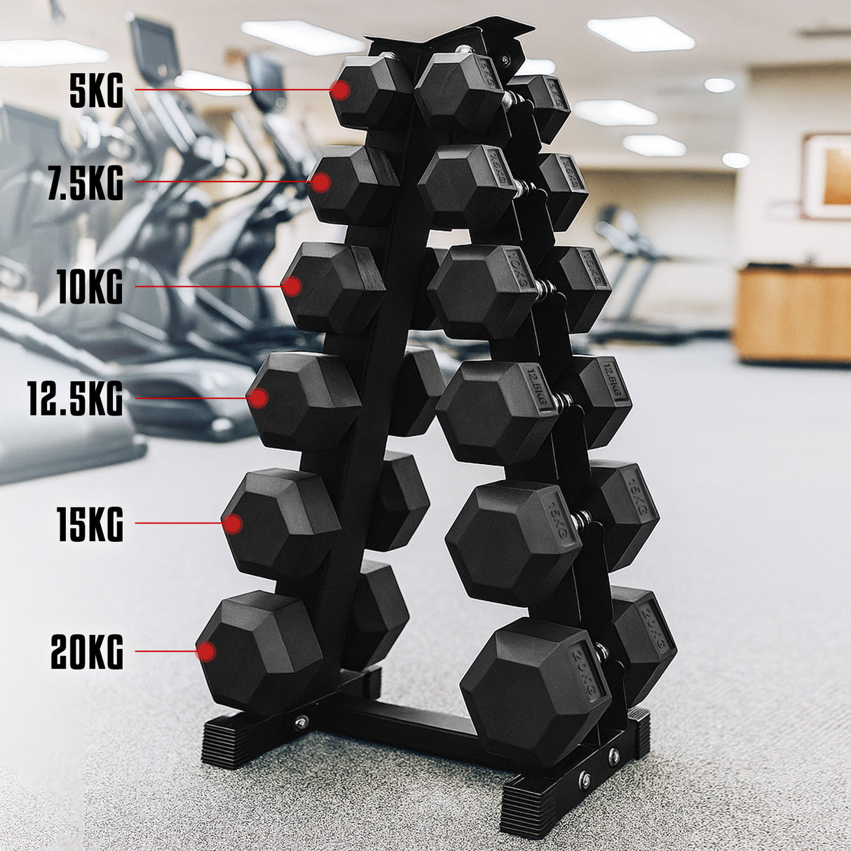 6 Tier Hex Dumbbell Tree Rack