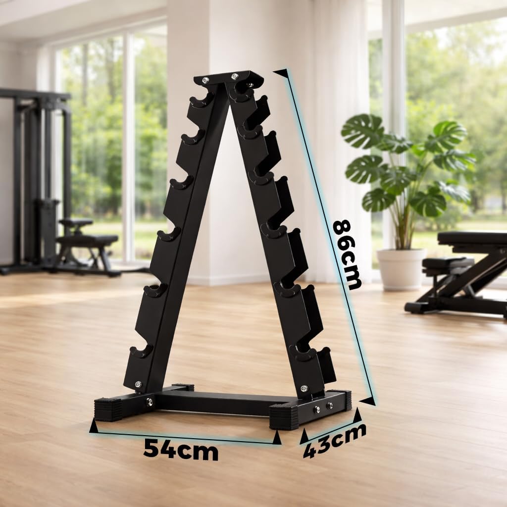 Black dumbbells weight rack with dimensions displayed in a gym setting