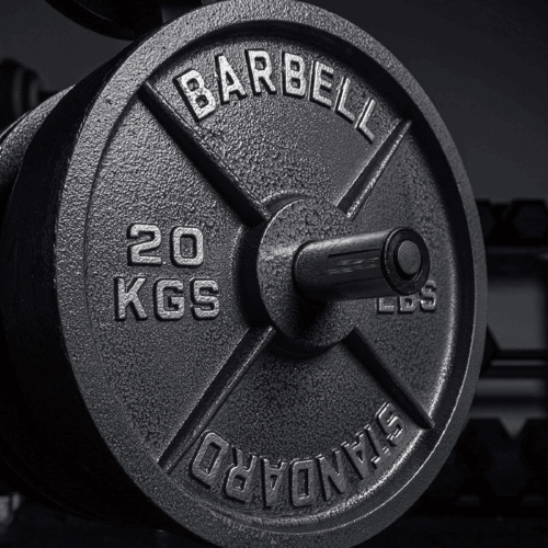 20kg cast iron weight plates set