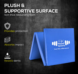 Tri Folding Mat Exercise Gym Gymnastic Fitness Workout Mat with Handles 3 Panels