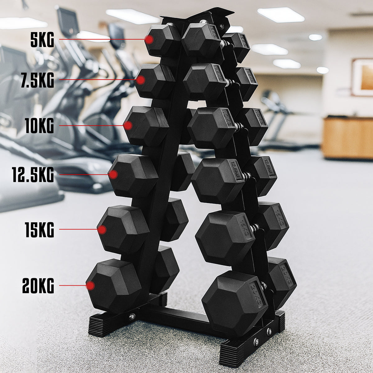 Tree Racks Bar 6 Tier Hex Dumbbell Tree Rack – FK Sports