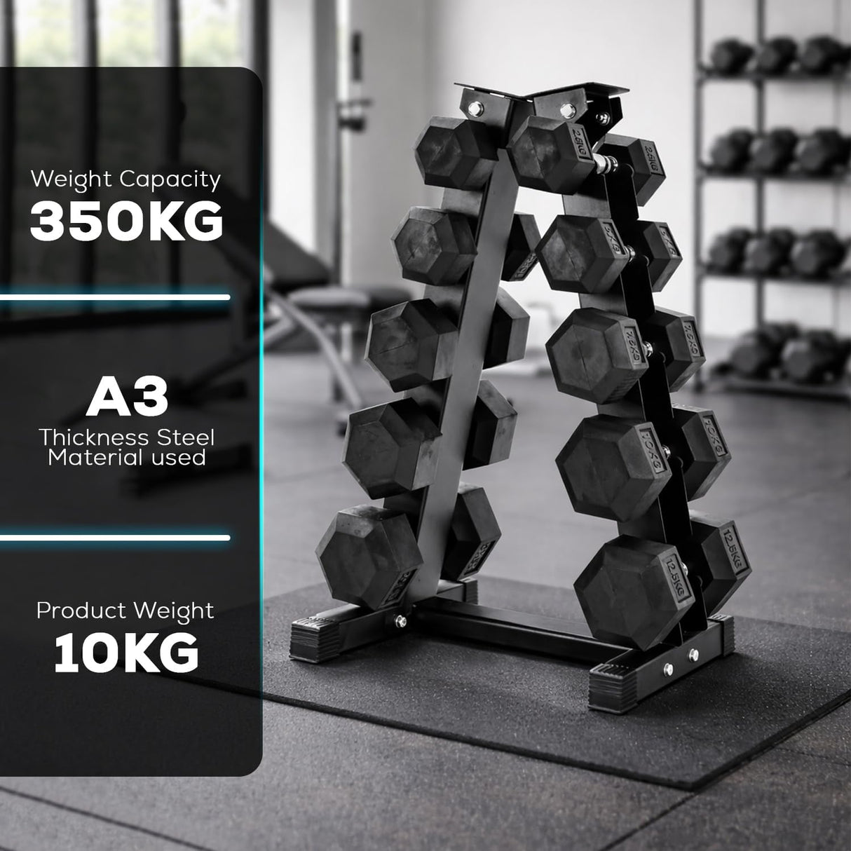 Dumbbell rack with weight capacity and material details in a gym setting