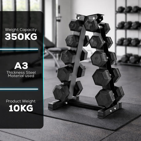 Dumbbell rack with weight capacity and material details in a gym setting