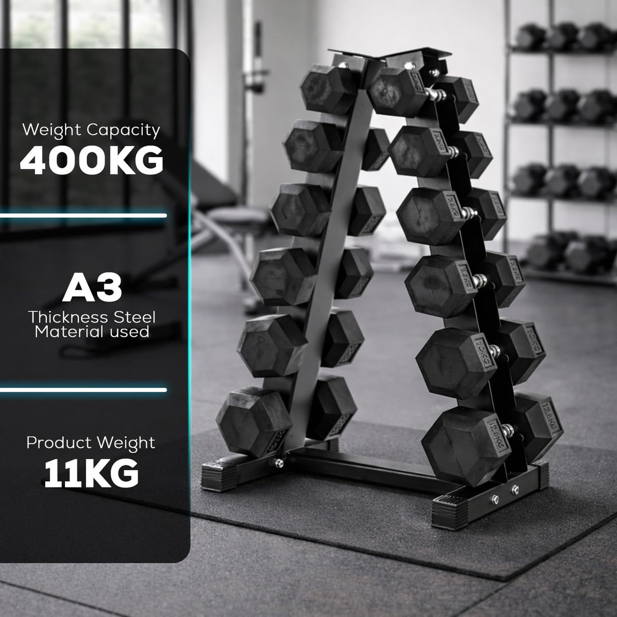 Dumbbell rack with weight capacity and material details in a gym setting