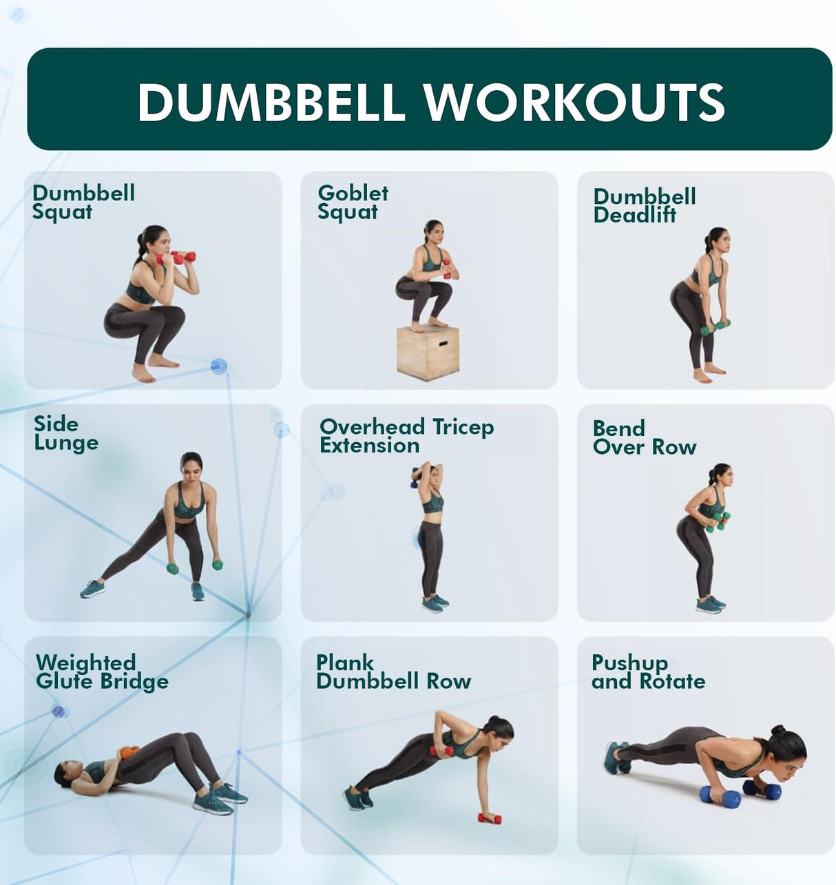 Illustrations of various dumbbell exercises with a woman performing each one.